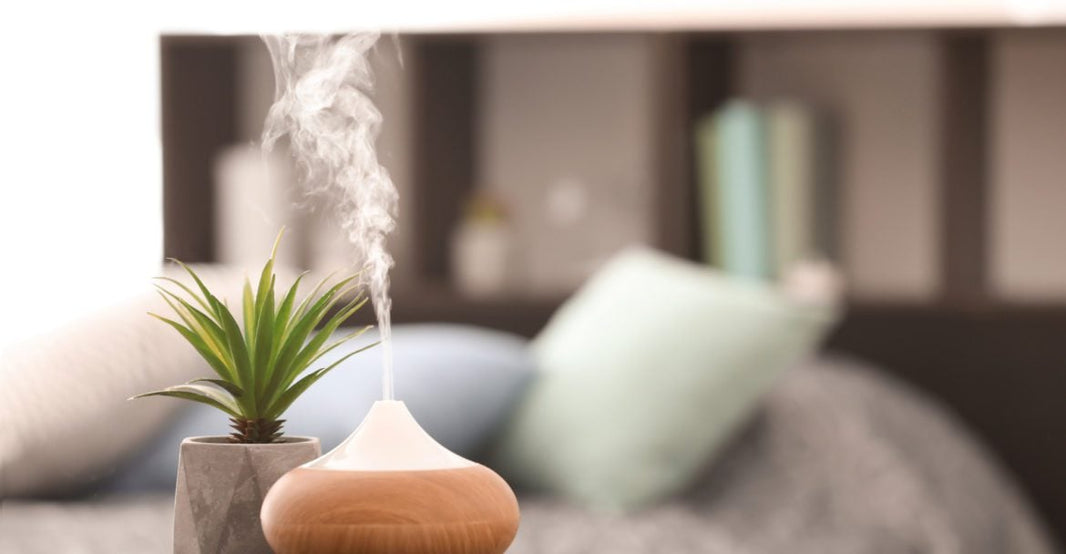 Air Freshener Buying Guide