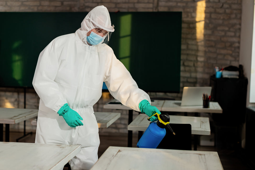Right Pest Control Service for Your Business