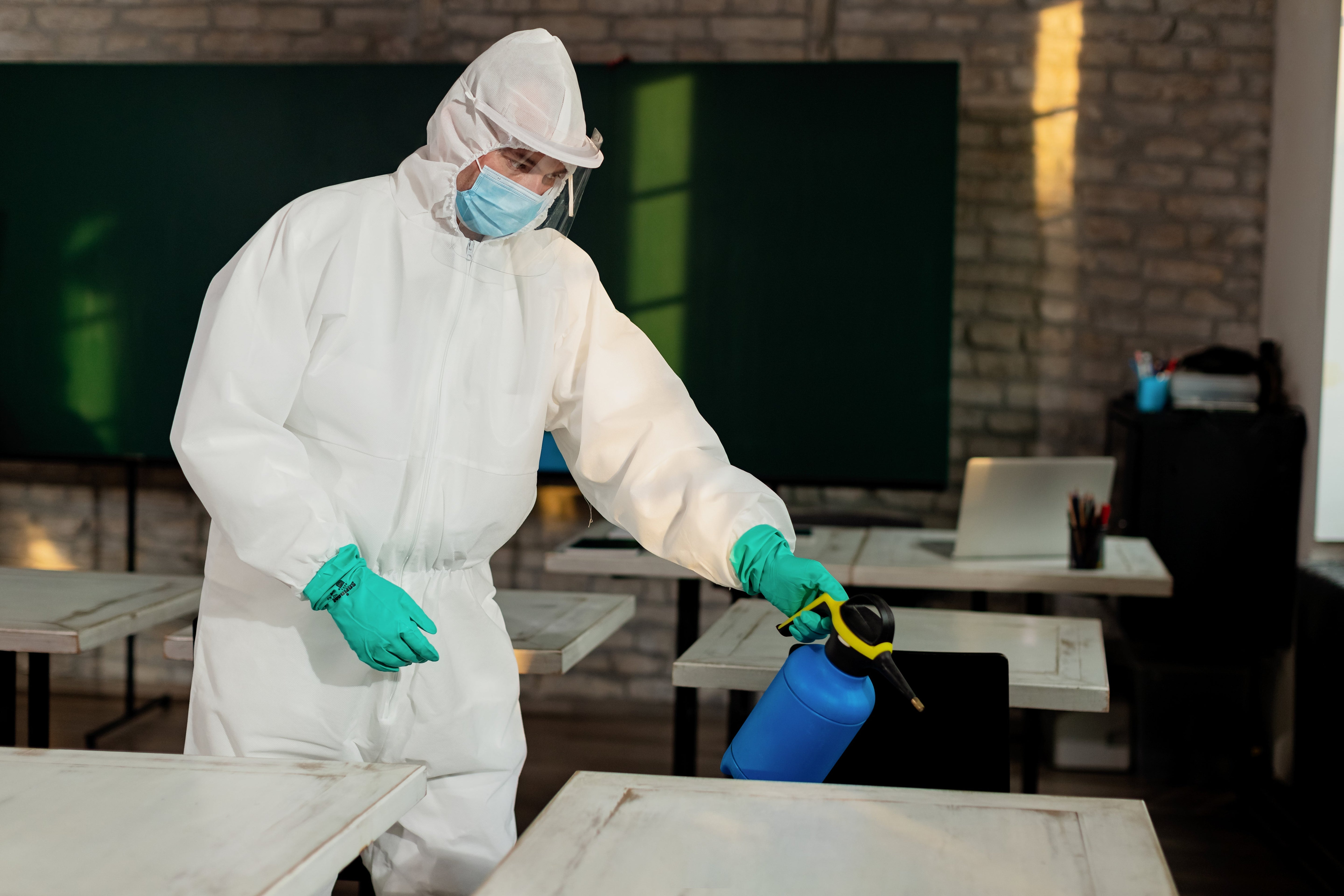 Right Pest Control Service for Your Business