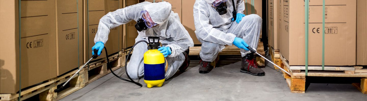 Pest & Insect Control Service – Hygiene Express
